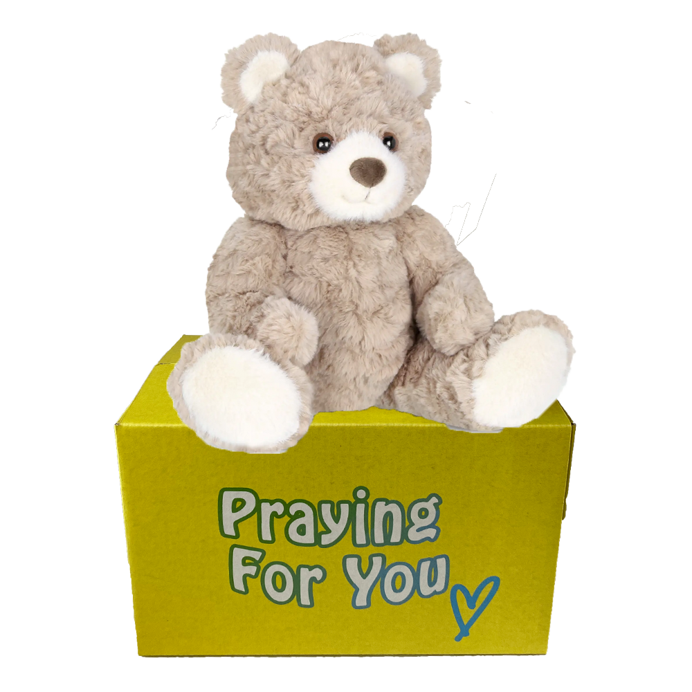 sable brown bear sitting on a yellow box- send a prayer - send a plushie