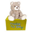 sable brown bear sitting on a yellow box- send a prayer - send a plushie
