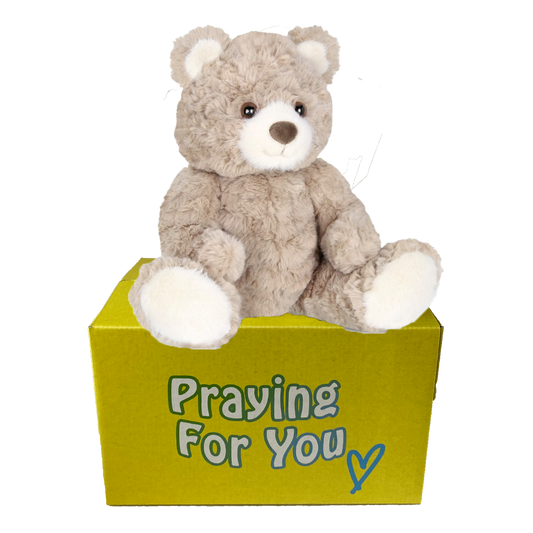 sable brown bear sitting on a yellow box- send a prayer - send a plushie