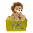 brown lion sitting on yellow box : send a prayer