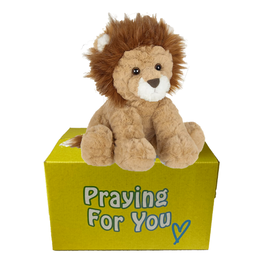 brown lion sitting on yellow box : send a prayer