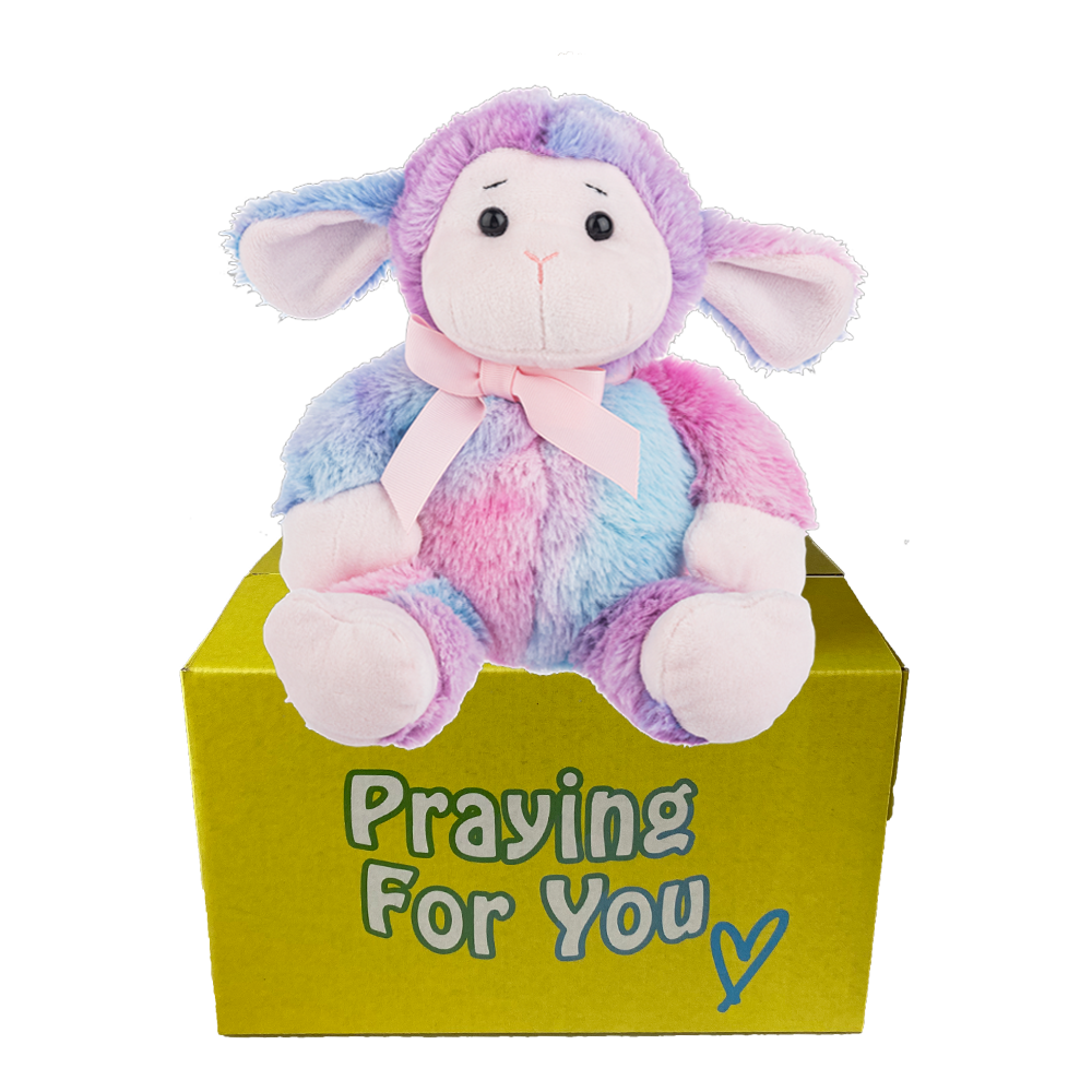 send a PRAYER Sprinkles Lamb stuffed animal plushie care package