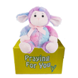 send a PRAYER Sprinkles Lamb stuffed animal plushie care package