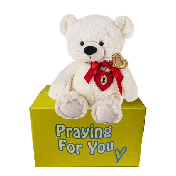 ZEDDY Bear Key To My Heart | send a PRAYER Stuffed Animal Care