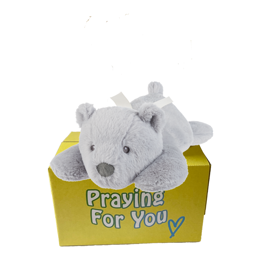 grey lazy bear with white ribbon laying on a yellow box : send a PRAYER