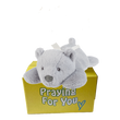 grey lazy bear with white ribbon laying on a yellow box : send a PRAYER