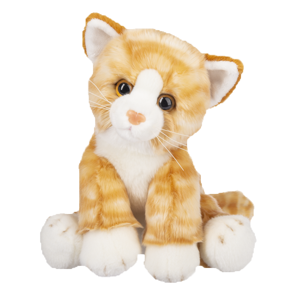 send a PRAYER - DASH Kali the orange Tabby Cat - send a PRAYER now - sendaprayernow.com