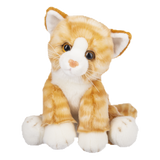 send a PRAYER - DASH Kali the orange Tabby Cat - send a PRAYER now - sendaprayernow.com