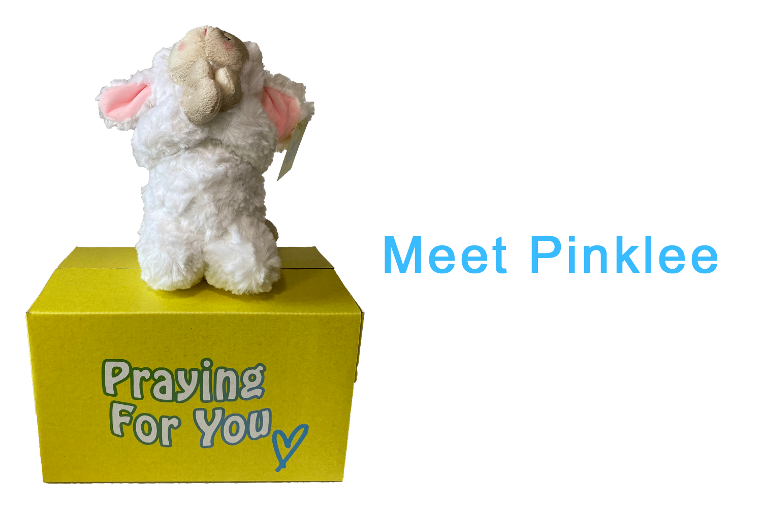 send a PRAYER Pinklee the prayer lamb on  his knees praying for you
