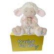 Novi serenity lamb stuffed animal with a pink ribbon and cross wrapped around her praying hands sitting on a yellow box ready to be sent as a care package. send a PRAYER : sendaprayernow.com