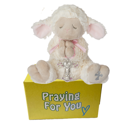 Novi serenity lamb stuffed animal with a pink ribbon and cross wrapped around her praying hands sitting on a yellow box ready to be sent as a care package. send a PRAYER : sendaprayernow.com