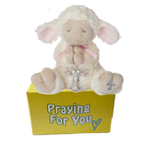 Novi serenity lamb stuffed animal with a pink ribbon and cross wrapped around her praying hands sitting on a yellow box ready to be sent as a care package. send a PRAYER : sendaprayernow.com
