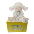 Obi serenity lamb stuffed animal with a blue ribbon and cross wrapped around his praying hands sitting on a yellow box ready to be sent as a care package. send a PRAYER : sendaprayernow.com