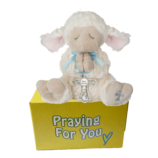 Obi serenity lamb stuffed animal with a blue ribbon and cross wrapped around his praying hands sitting on a yellow box ready to be sent as a care package. send a PRAYER : sendaprayernow.com