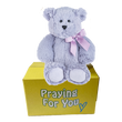 purple bear with matching ribbon tied in a bow sitting on a yellow box- send a prayer - send a plushie
