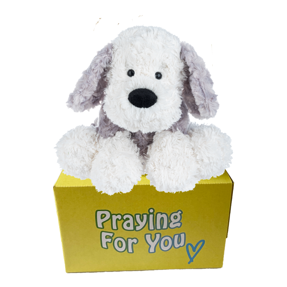 Rumi send a PRAYER stuffed animal sitting on a yellow box
