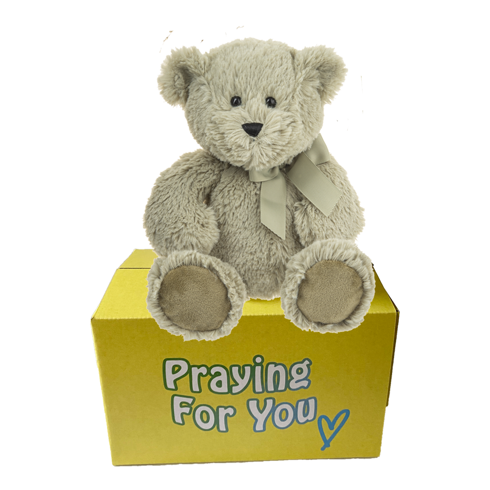 sage bear with matching ribbon sitting on top of a yellow box - send a prayer - send a plushie
