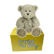 sage bear with matching ribbon sitting on top of a yellow box - send a prayer - send a plushie