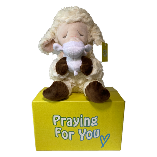 plush lamb kissing her baby while sitting on a praying for you yellow box