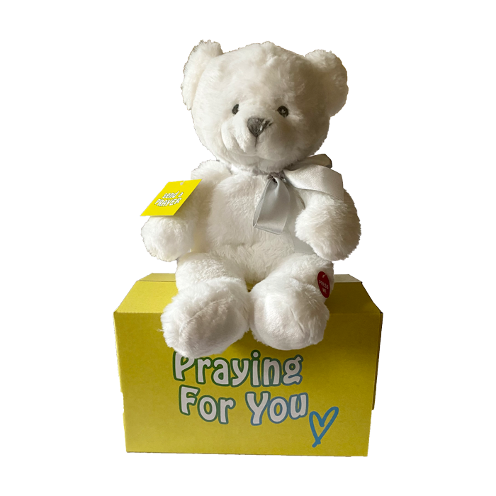 send a PRAYER - the ANGEL BEAR - stuffed animal care package - sendaprayernow.com