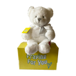 send a PRAYER - the ANGEL BEAR - stuffed animal care package - sendaprayernow.com