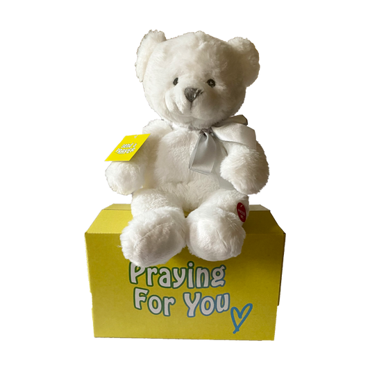send a PRAYER - the ANGEL BEAR - stuffed animal care package - sendaprayernow.com