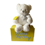 send a PRAYER - the ANGEL BEAR - stuffed animal care package - sendaprayernow.com