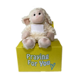 send a PRAYER - LUMI the lamb - stuffed animal care package - sendprayernow.com
