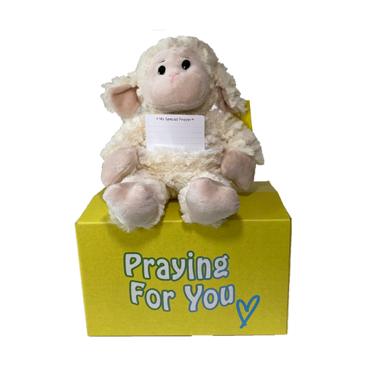 send a PRAYER - LUMI the lamb - stuffed animal care package - sendprayernow.com