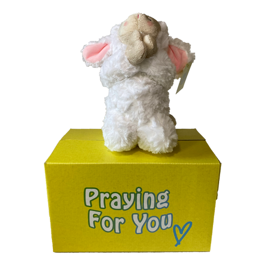 sendaprayer - PINKLEE the Lamb plushie – an inspirational gift care package perfect for spreading love and faith.